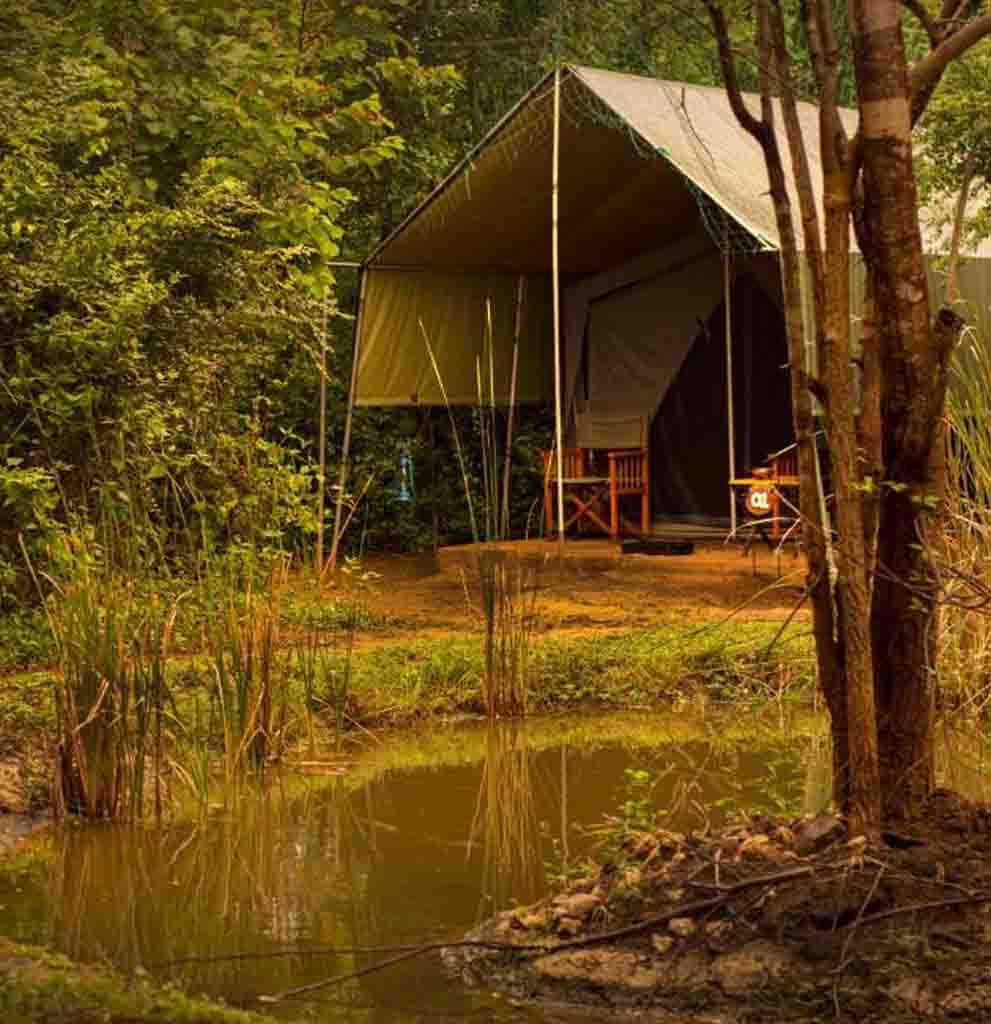 Big Game – Yala by Eco Team