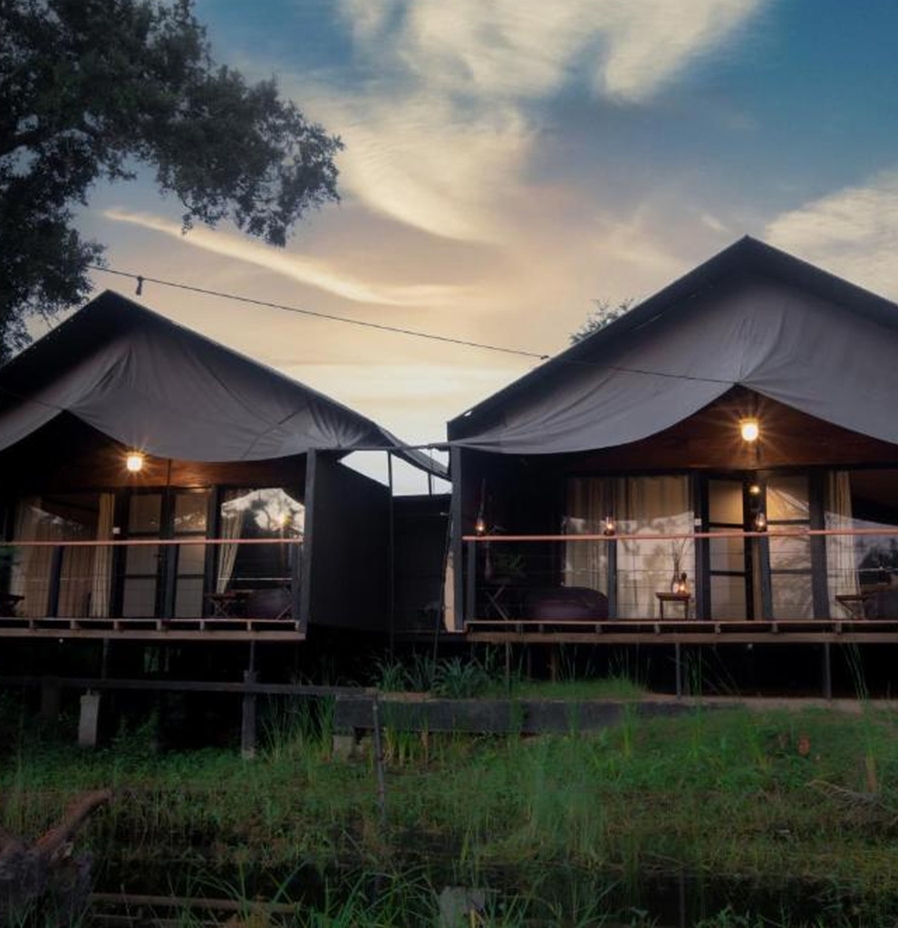 Leopard Trails Yala