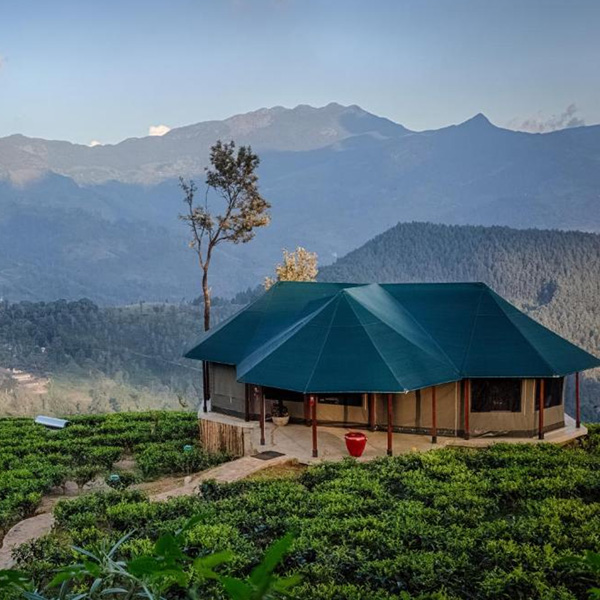 Madulkelle Tea and Eco Lodge