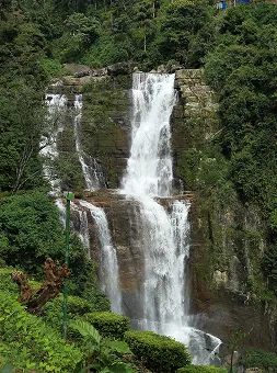 Cascading Wonders