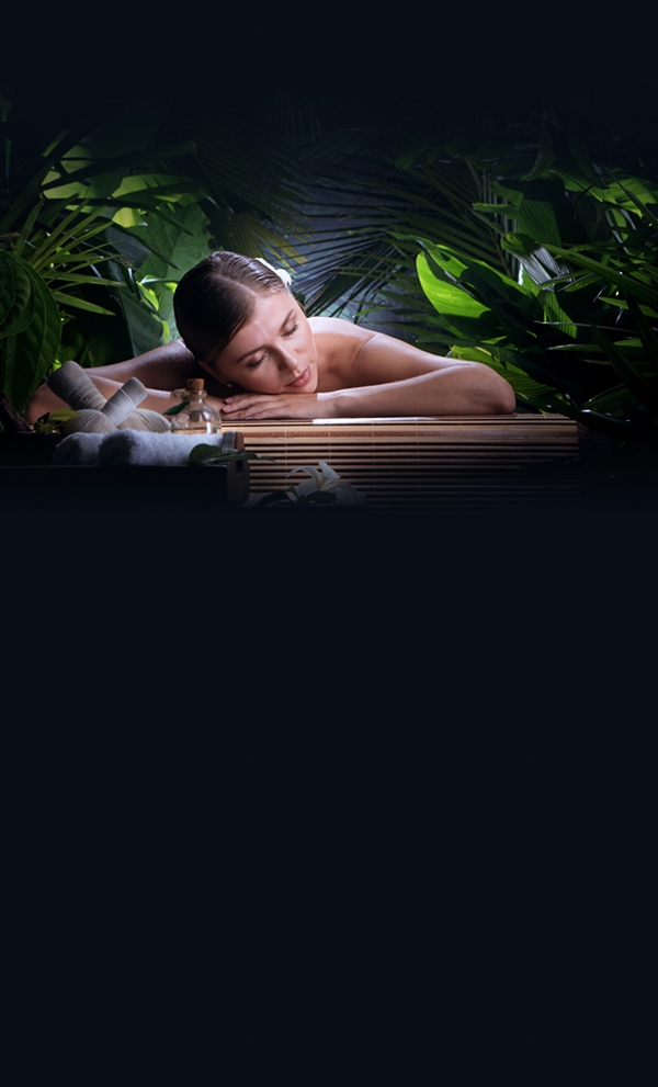 Ayurveda & Wellness