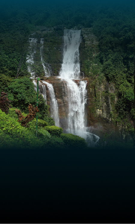 Cascading Wonders