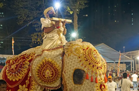 Navam Perahera